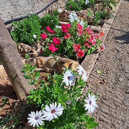 Garden House-Free Transfer From Airport Villa อาร์เตมีดา ภายนอก รูปภาพ