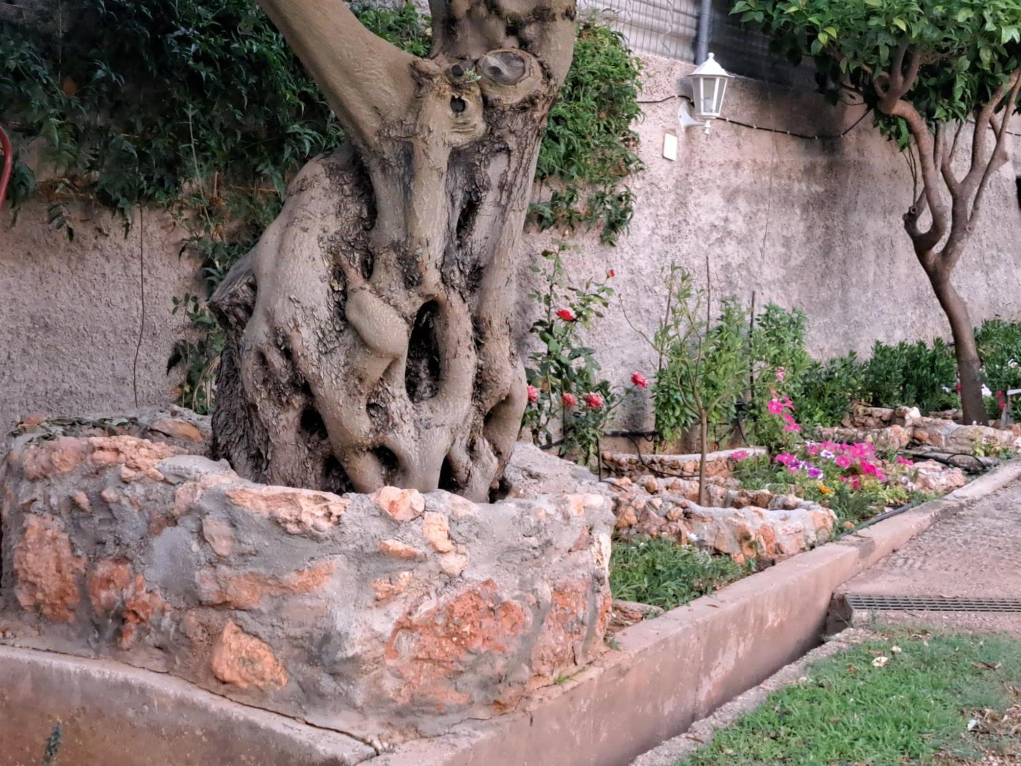 Garden House-Free Transfer From Airport Villa อาร์เตมีดา ภายนอก รูปภาพ