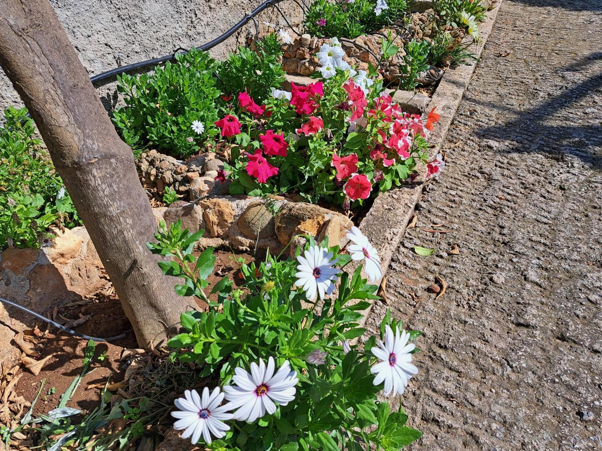 Garden House-Free Transfer From Airport Villa อาร์เตมีดา ภายนอก รูปภาพ